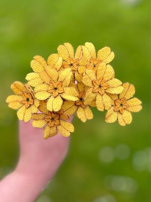 Primrose Harris Tweed® Flower Stem