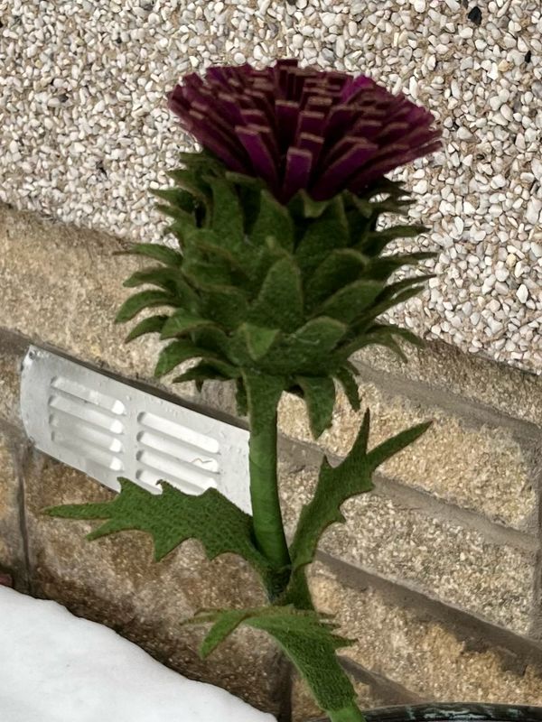 Harris Tweed® Flower Stem - Giant Scottish Thistle