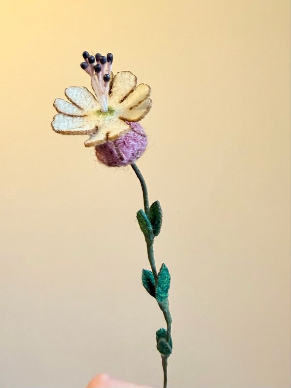 Sea Campion Harris Tweed® Flower Stem