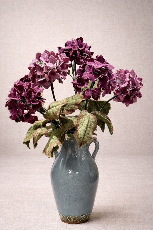 Hebridean Hydrangeas