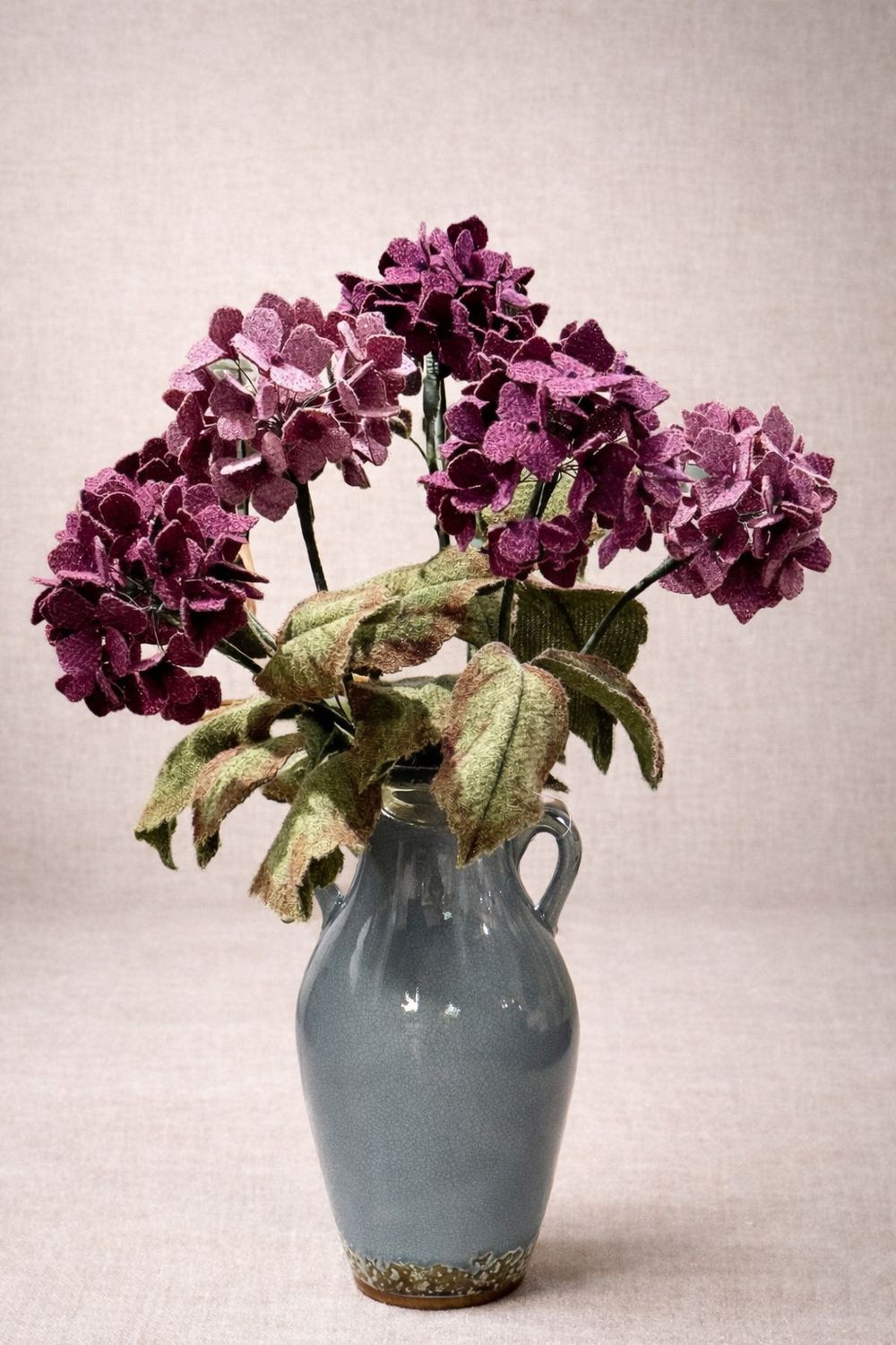 Hebridean Hydrangeas