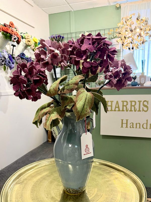 Hebridean Hydrangeas