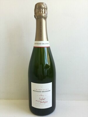 Champagne Extra-Brut Enfant de la Montagne, Bertrand Delespierre, 12% (750ml)