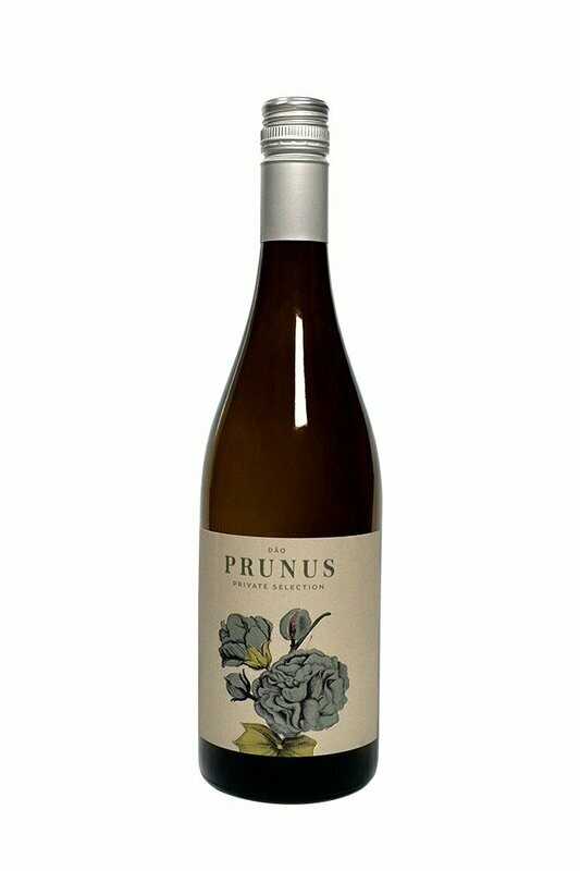 Prunus Dao Branco 2019, 13% ABV, (750ml)