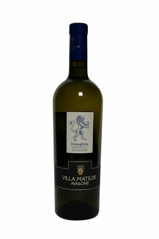 Falanghina Roccaleoni, Villa Matilde Campania 2020, 13.5% ABV,(750ml)