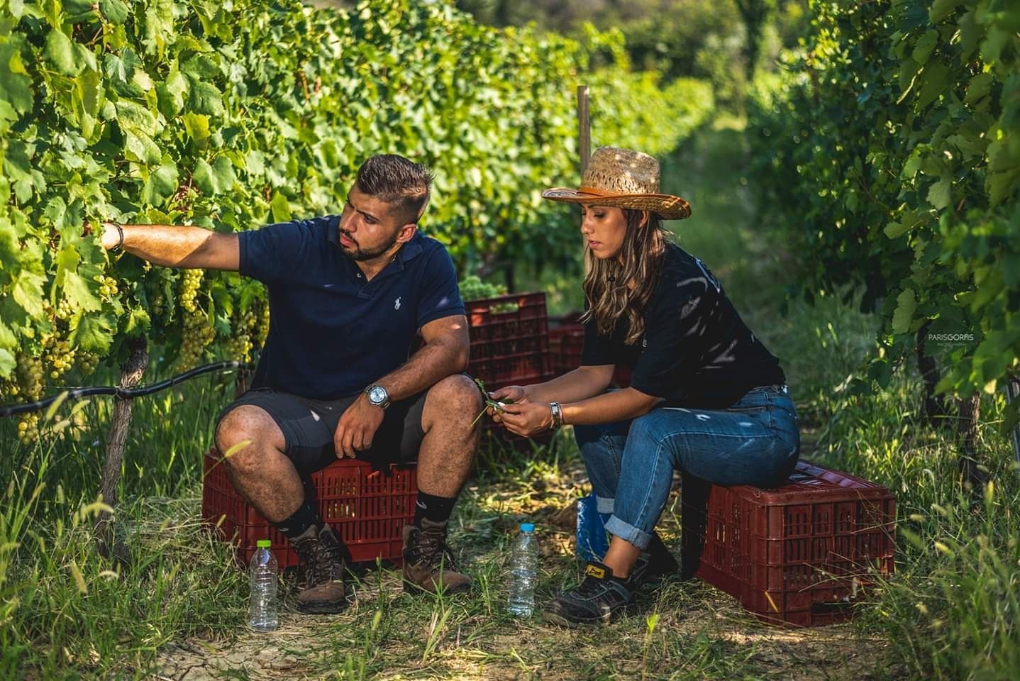 Wine Tasting 10th of July
