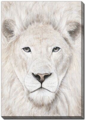 Lion blanc- Toile.