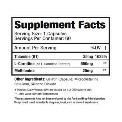 Muscle Sport L Carnitine 60Caps  