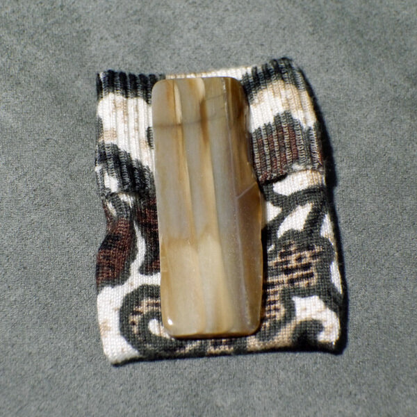 Petrified Wood with Small Courier