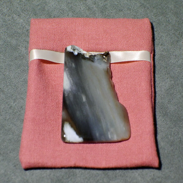 Petrified Wood with Medium Courier