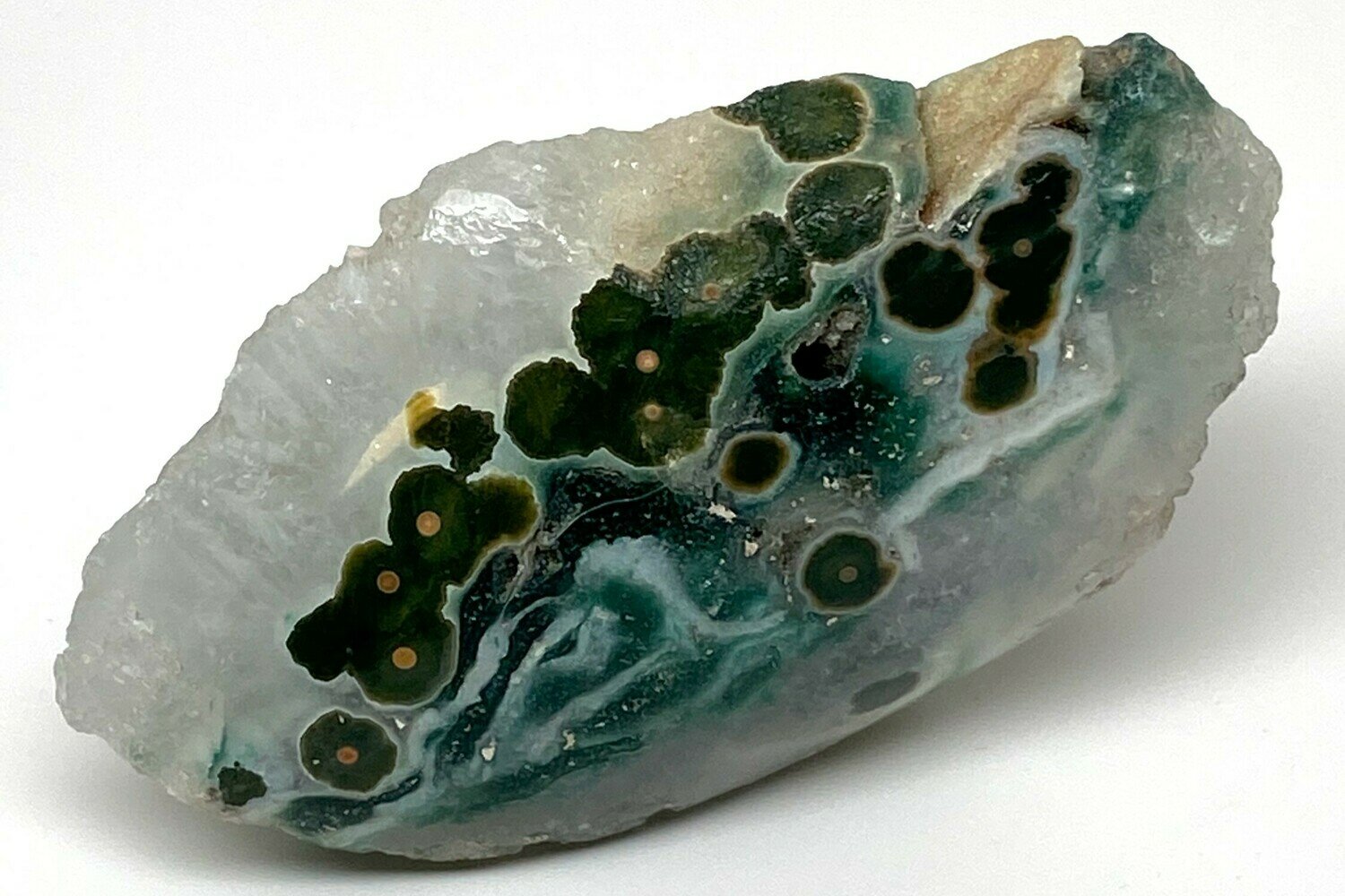 Orbicular Jasper - One Side Polished