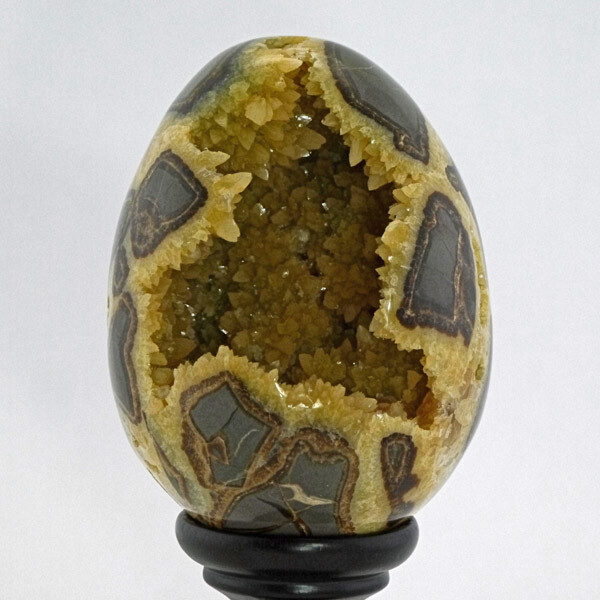 Septarian Nodule Egg