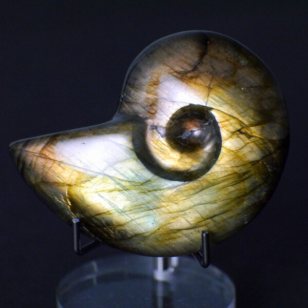 Labradorite Nautilus