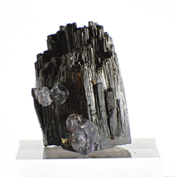 Black Tourmaline with Fluorite