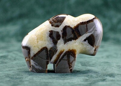 Septarian Nodule