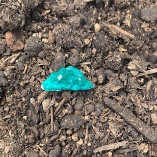 Dioptase Cluster