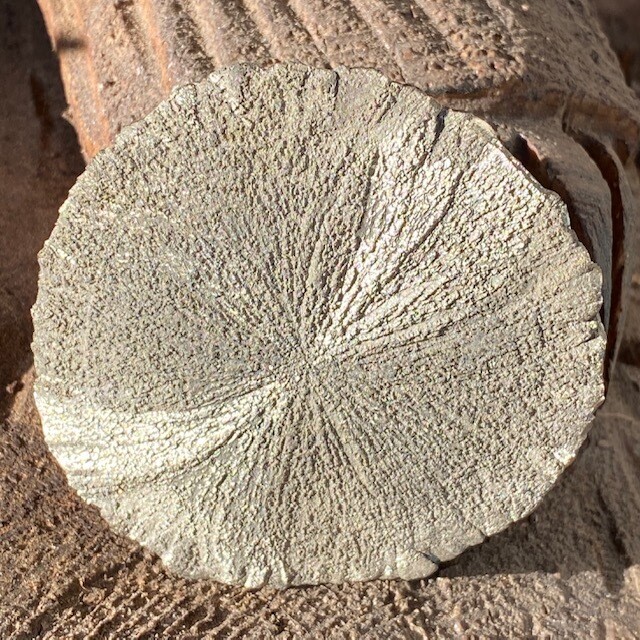 Pyrite Sun