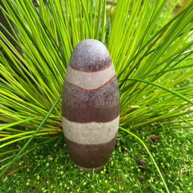 Shiva Linguim