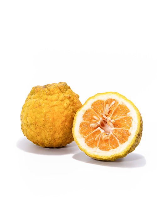 Naranja Agria (pieza)