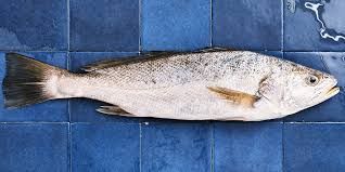 Maigre de nos côtes, timbale de légumes de saison, sauce aux coques