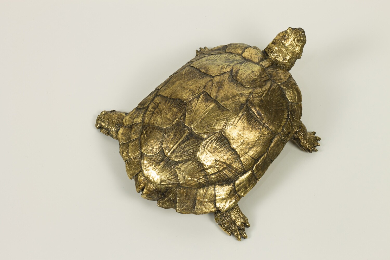 Vintage Golden Turtle