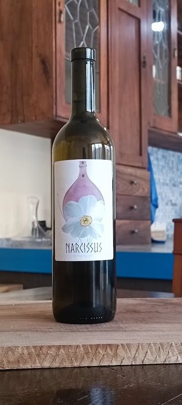 NARCISSUS 2022