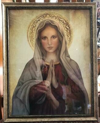 Framed Pictures