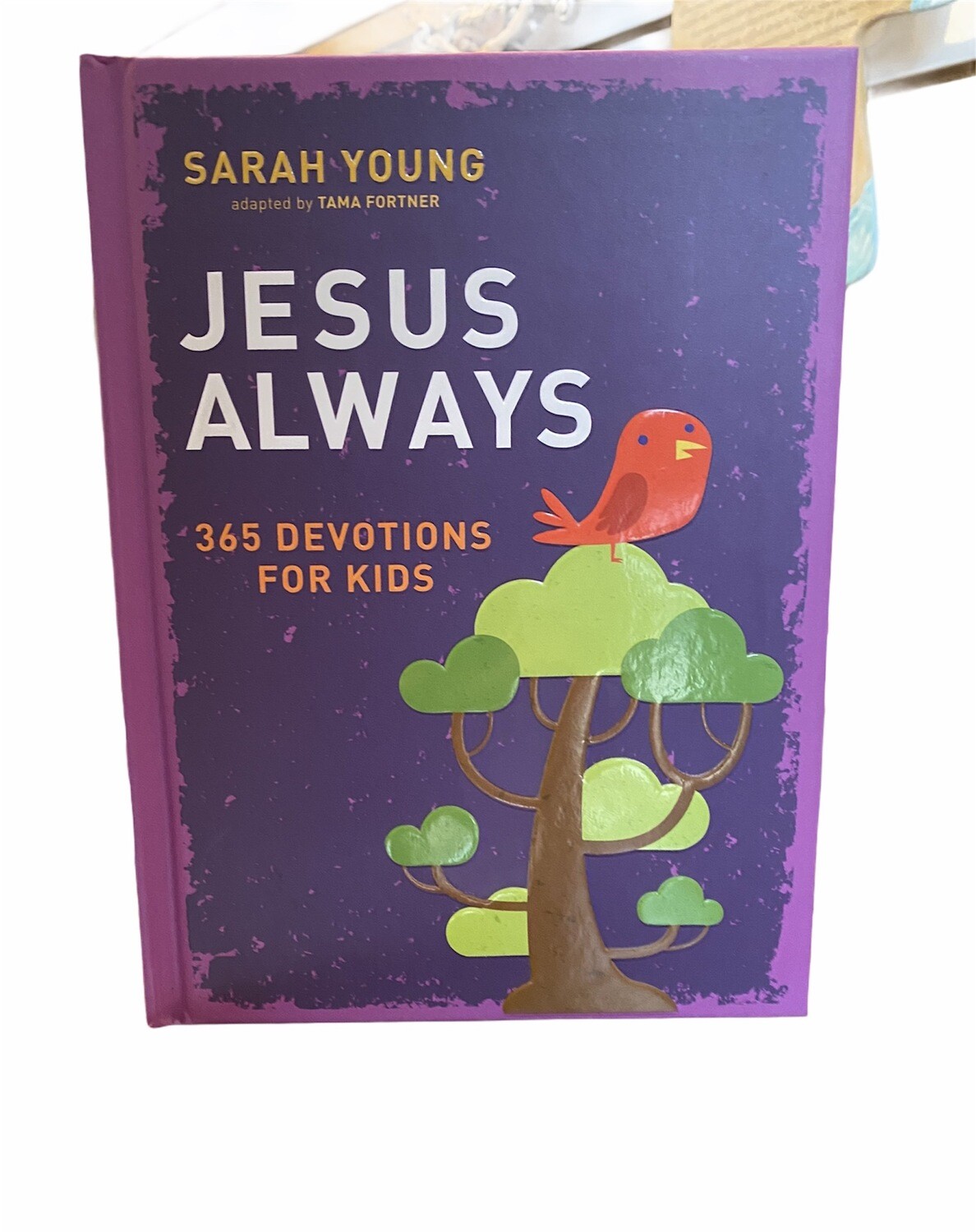 Jesus Calling 365 Devotions For Kids