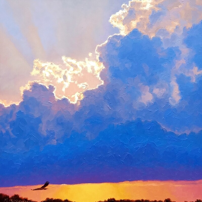 ​Night Hawk