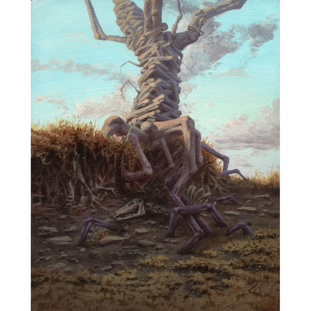 ​Beneath the Tree Limbs