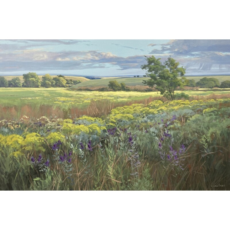​Motley Prairie