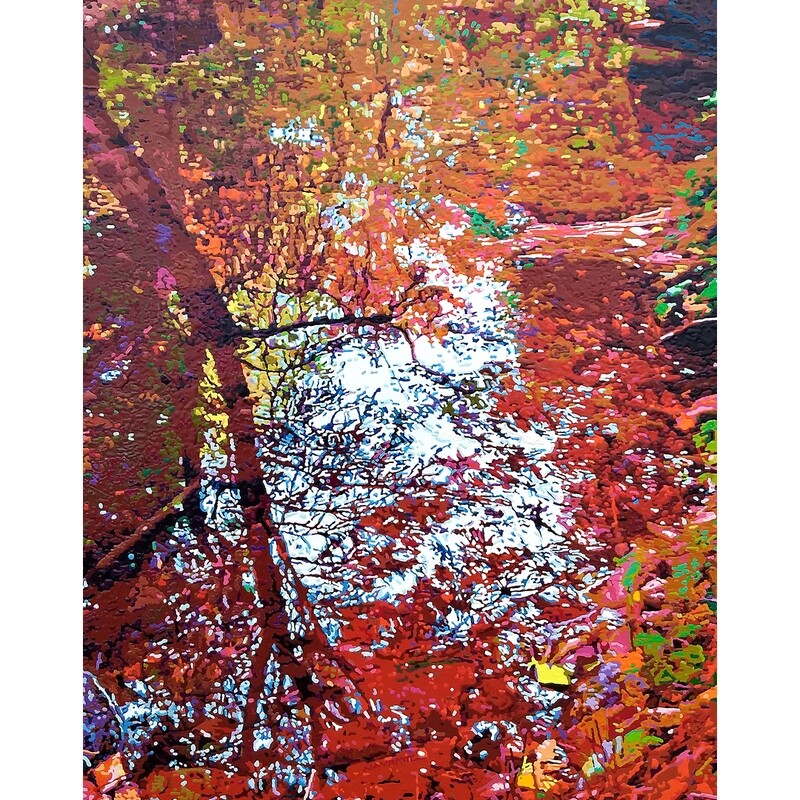 Autumn Mirror