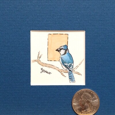 Blue Jay