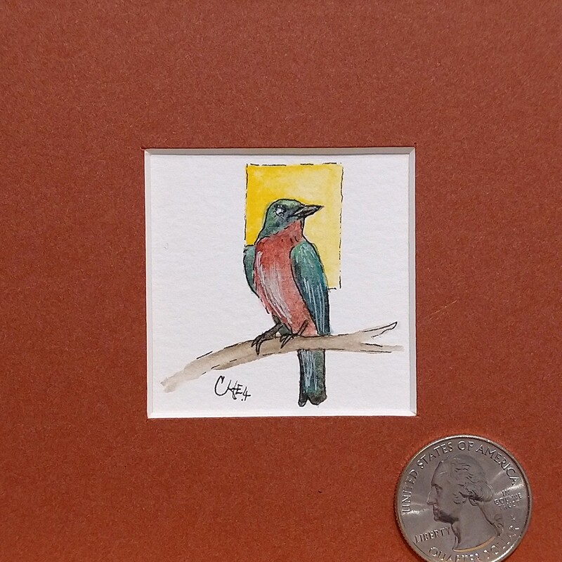 ​Yellow Bellied Sapsucker