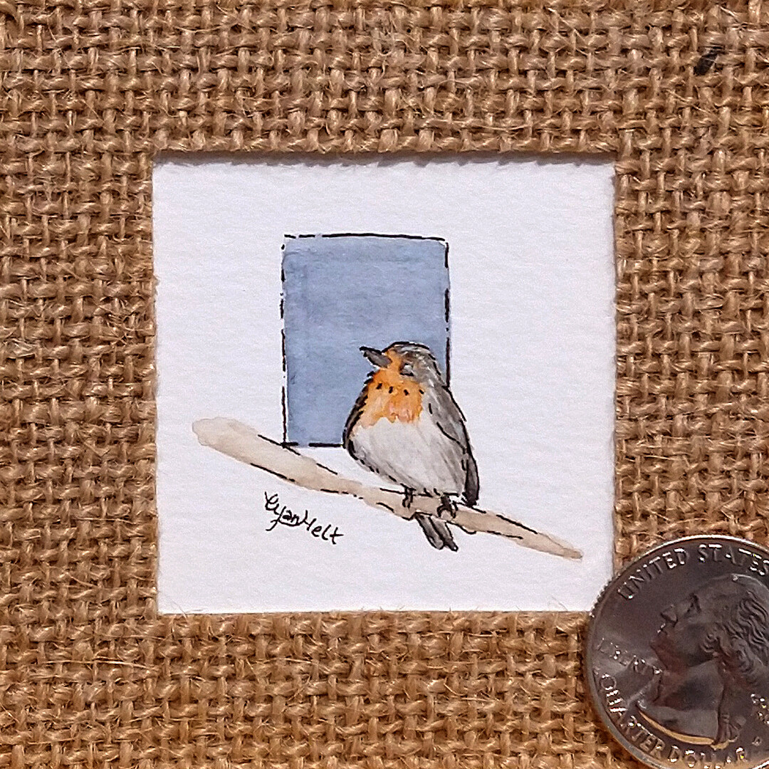 ​Garden Robin