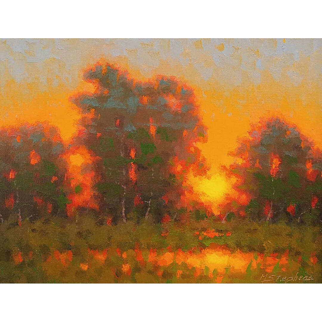​Marshland Radiance