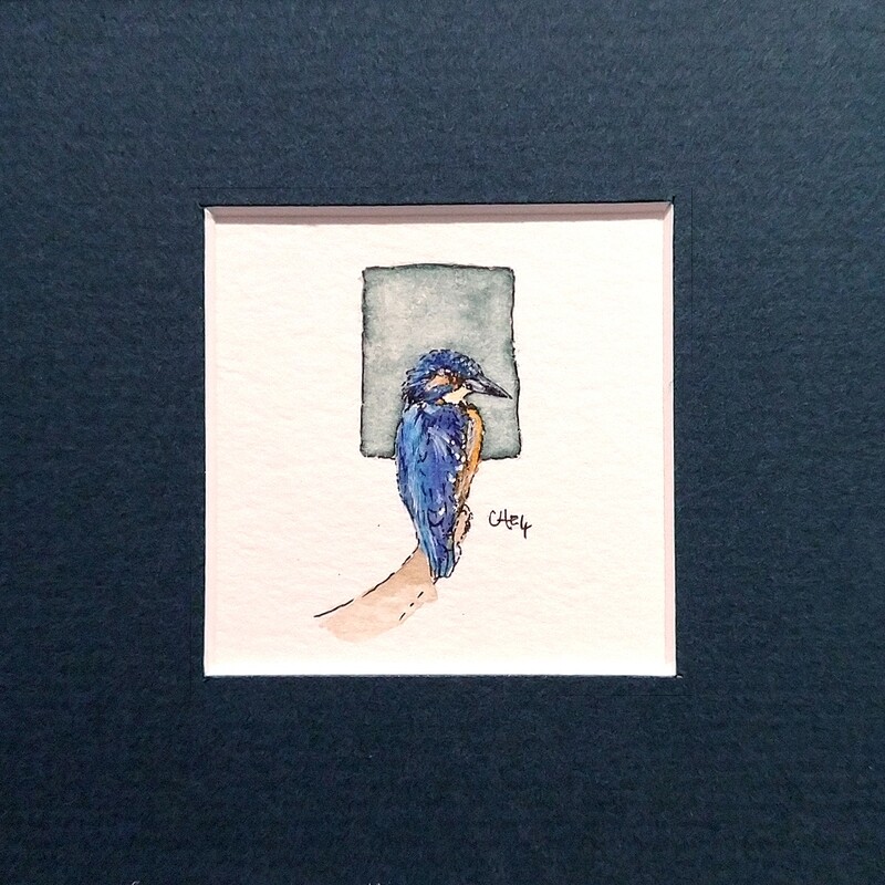 ​Kingfisher