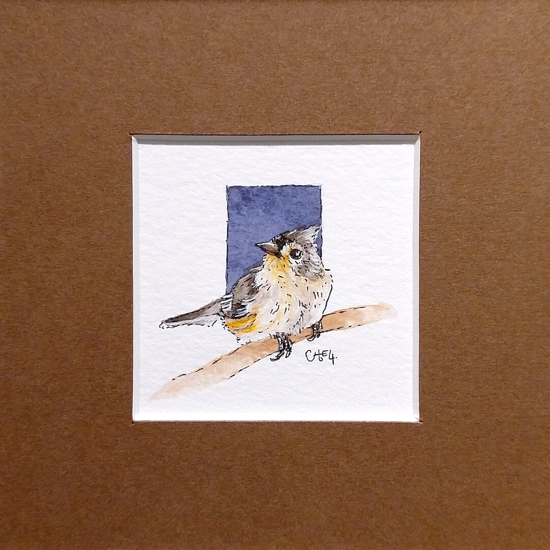 ​Titmouse