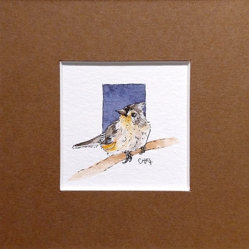 ​Titmouse