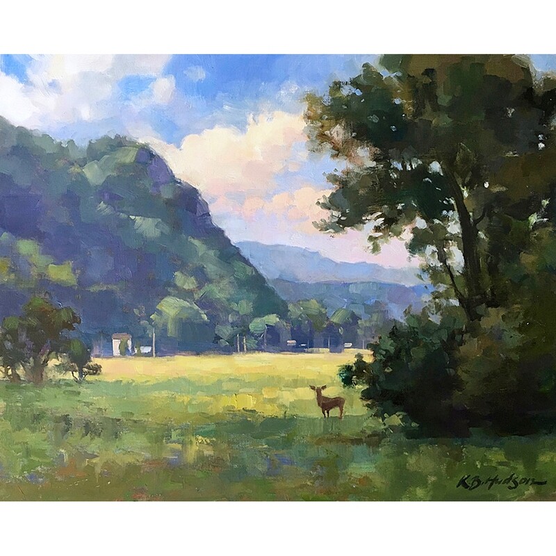 ​Bucks County View