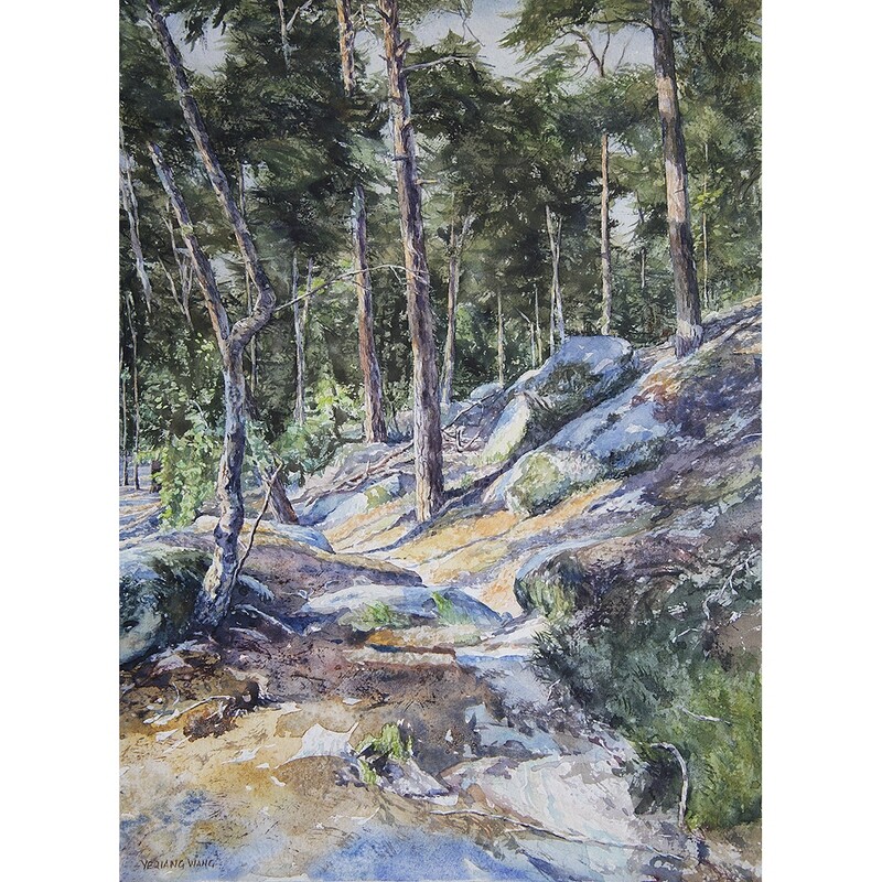 ​Into the Forest