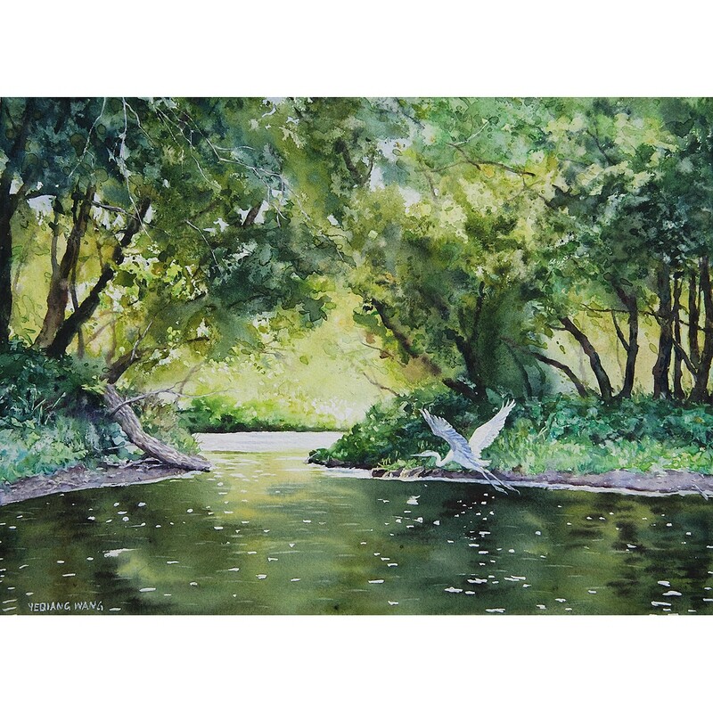 ​Summer Creek