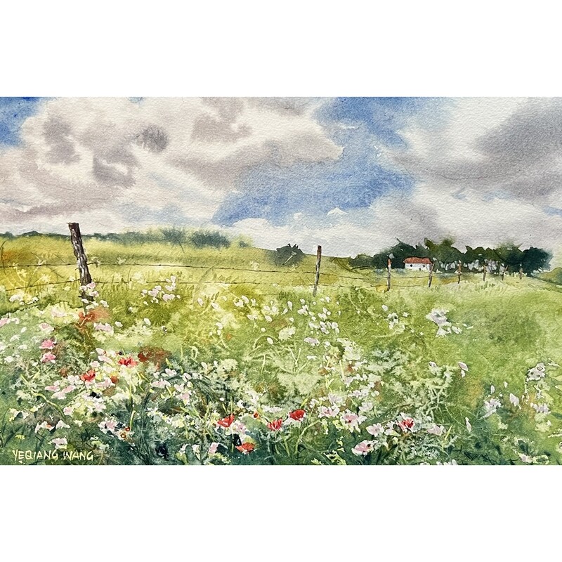 ​Spring Field