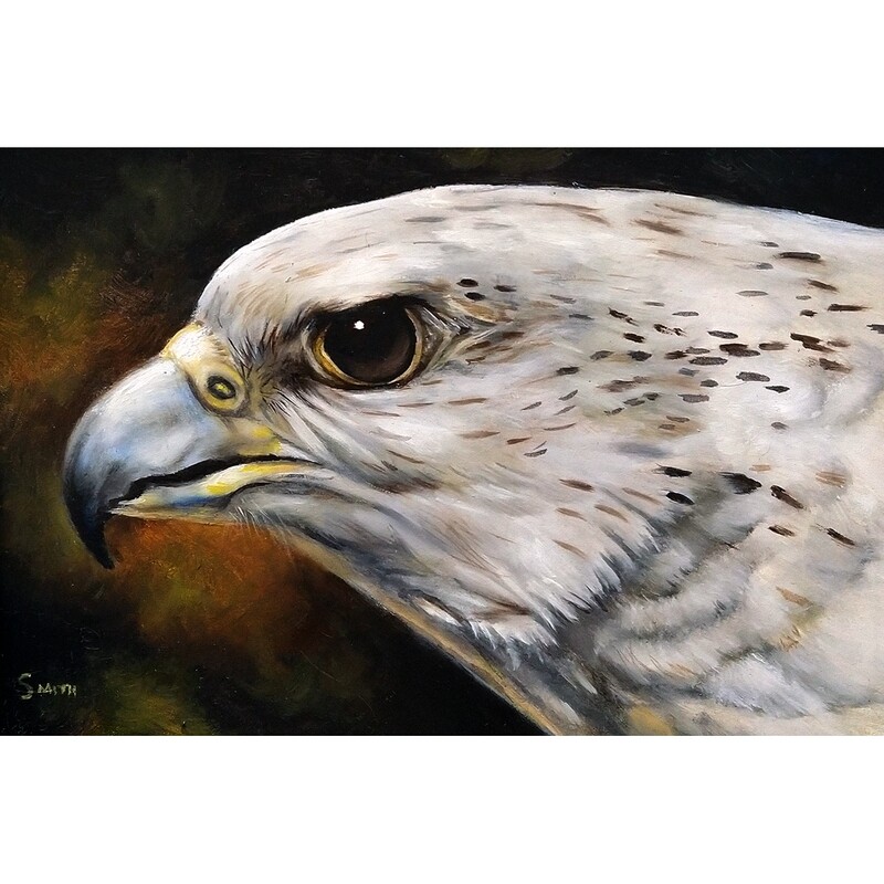 Gyrfalcon