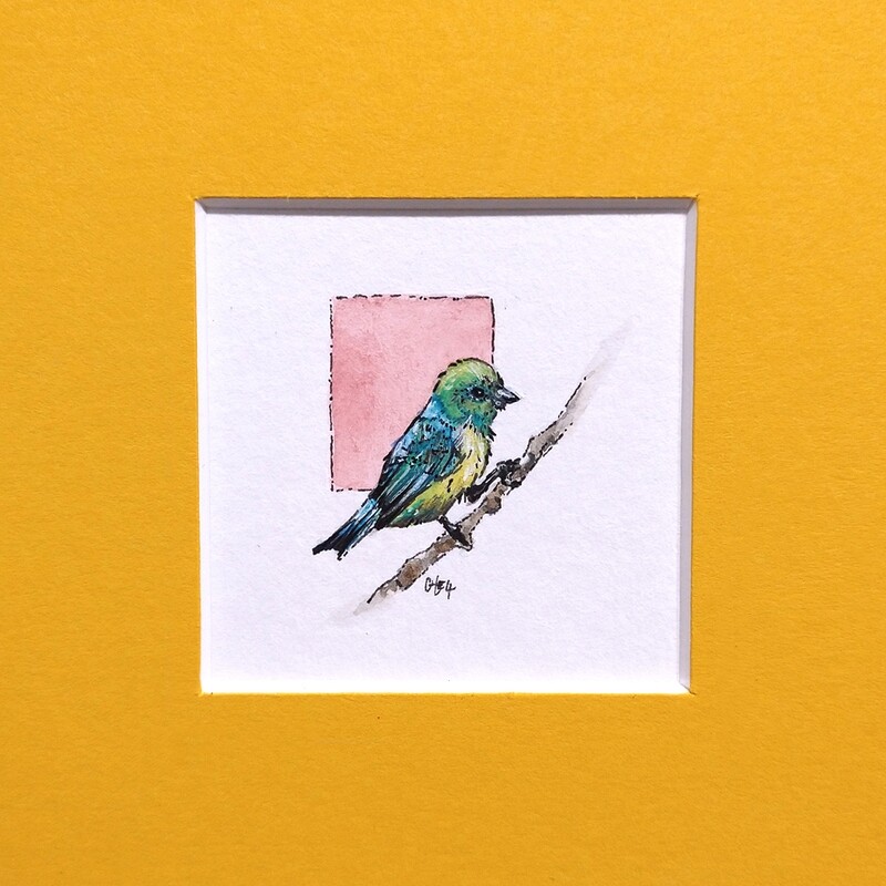 ​Blue-Naped Chlorophonia