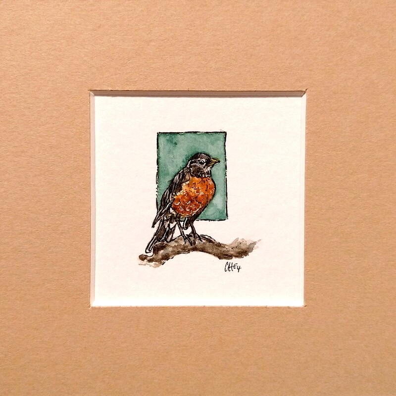American Robin