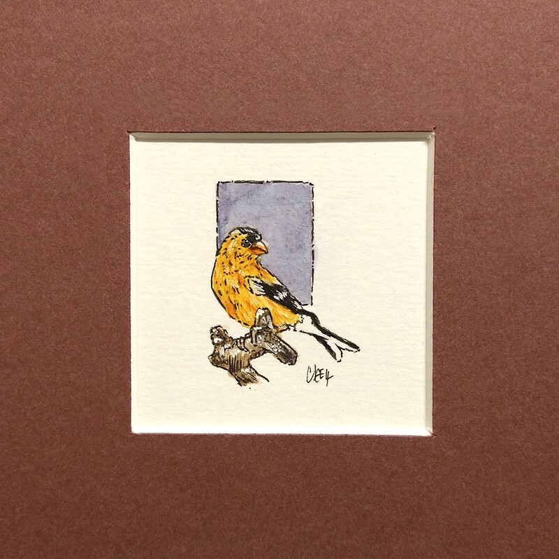 ​Gold Finch