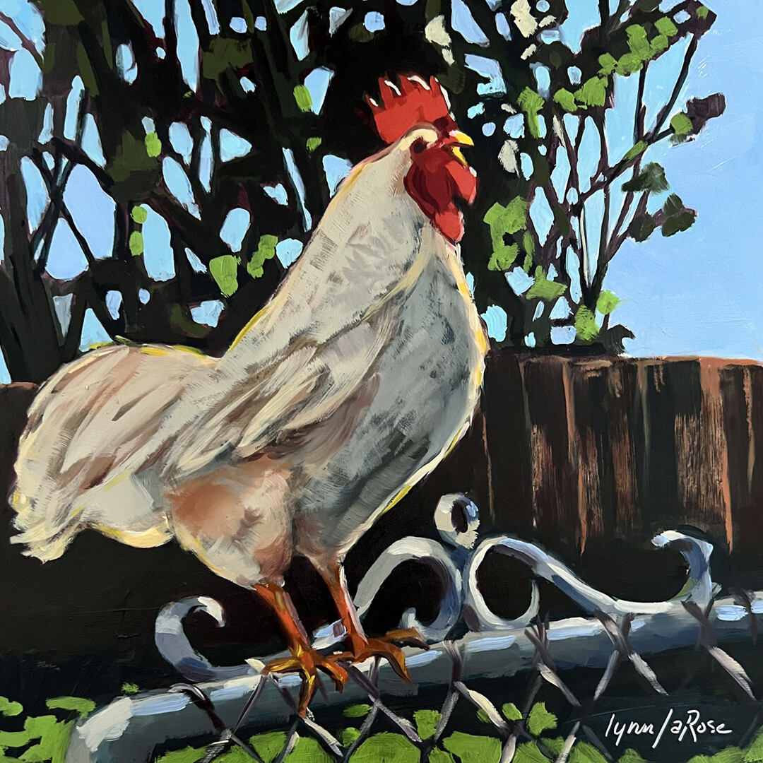 On the Fence