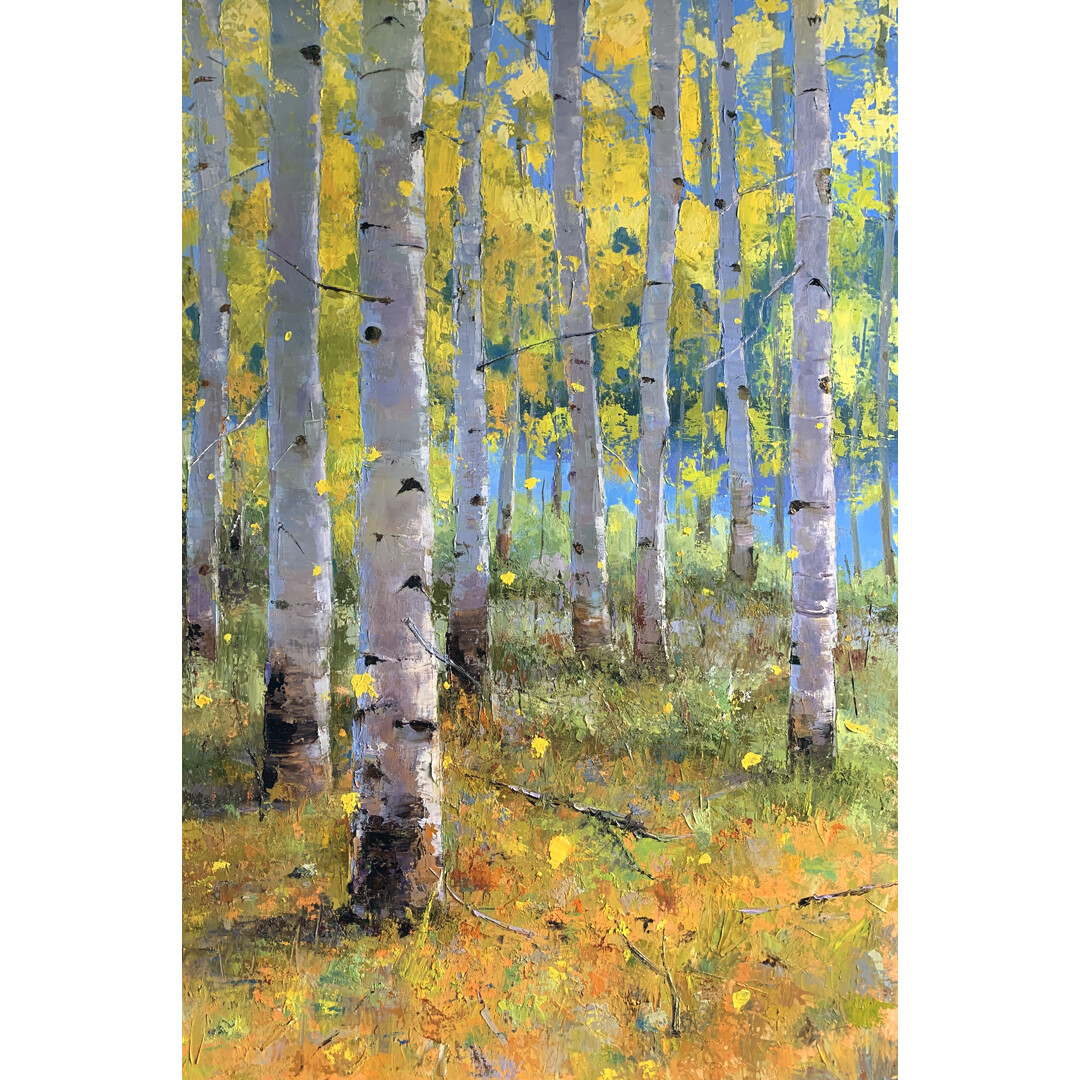 Early Autumn Aspens