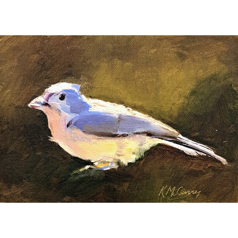 ​Light on a Bird